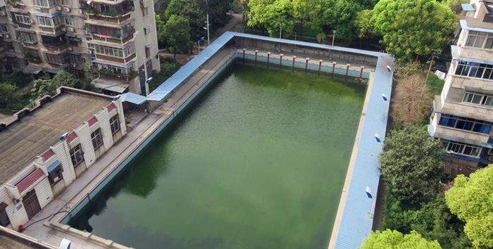 游泳池水變綠是什么原因？游泳池水處理方法